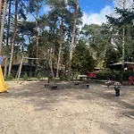 Kindvriendelijk Sfeervol Bosgeneugte Bij Zwembad Op De Veluwe 木屋