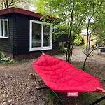 Kindvriendelijk Sfeervol Bosgeneugte Bij Zwembad Op De Veluwe