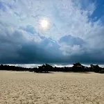 Kindvriendelijk Sfeervol Bosgeneugte Bij Zwembad Op De Veluwe 木屋