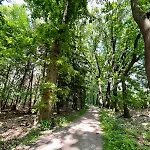 木屋 Kindvriendelijk Sfeervol Bosgeneugte Bij Zwembad Op De Veluwe *