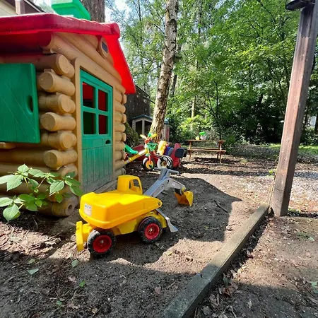 Kindvriendelijk Sfeervol Bosgeneugte Bij Zwembad Op De Veluwe Chalet