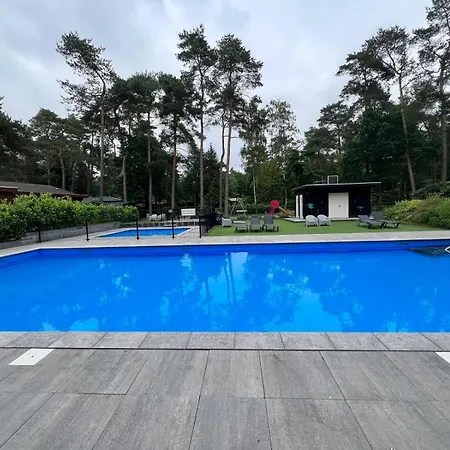 Kindvriendelijk Sfeervol Bosgeneugte Bij Zwembad Op De Veluwe Chalet *