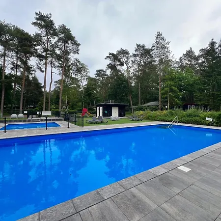 Chalet Kindvriendelijk Sfeervol Bosgeneugte Bij Zwembad Op De Veluwe *