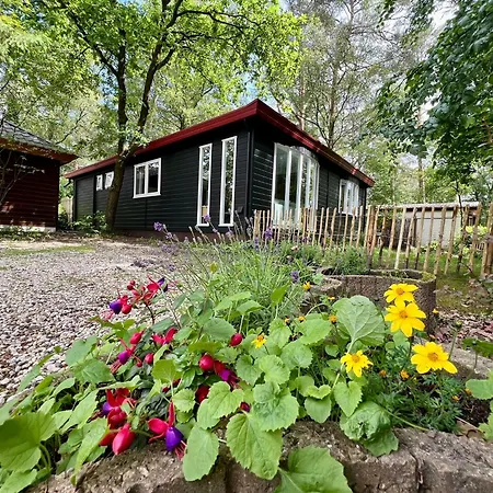 Kindvriendelijk Sfeervol Bosgeneugte Bij Zwembad Op De Veluwe Doornspijk