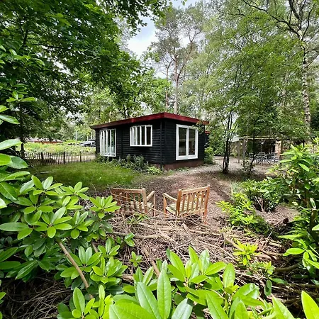 Kindvriendelijk Sfeervol Bosgeneugte Bij Zwembad Op De Veluwe Chalet *