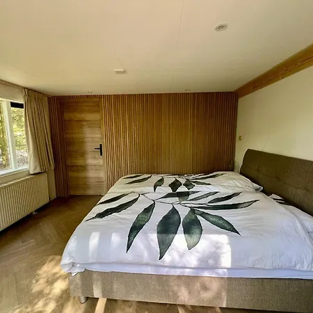 Kindvriendelijk Sfeervol Bosgeneugte Bij Zwembad Op De Veluwe Doornspijk