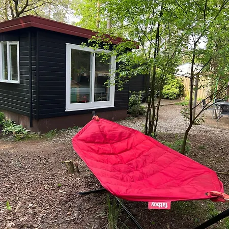 Kindvriendelijk Sfeervol Bosgeneugte Bij Zwembad Op De Veluwe