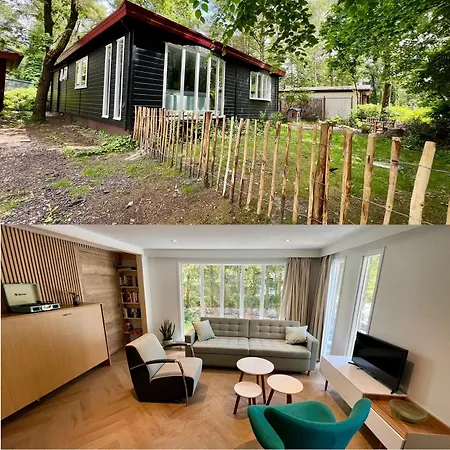 Kindvriendelijk Sfeervol Bosgeneugte Bij Zwembad Op De Veluwe *