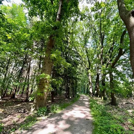 شاليه Kindvriendelijk Sfeervol Bosgeneugte Bij Zwembad Op De Veluwe *