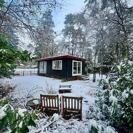 Kindvriendelijk Sfeervol Bosgeneugte Bij Zwembad Op De Veluwe Doornspijk