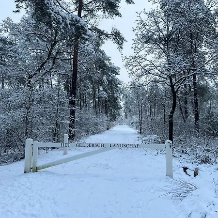 Chalet Kindvriendelijk Sfeervol Bosgeneugte Bij Zwembad Op De Veluwe *
