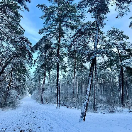 Chalet Kindvriendelijk Sfeervol Bosgeneugte Bij Zwembad Op De Veluwe