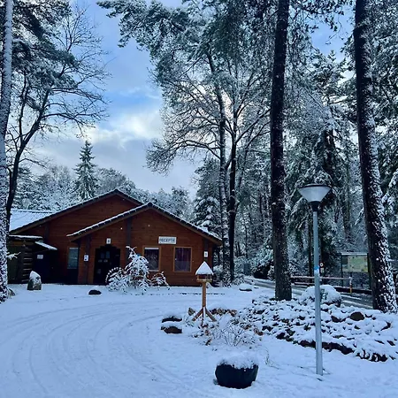 Kindvriendelijk Sfeervol Bosgeneugte Bij Zwembad Op De Veluwe Chalet