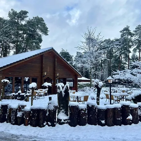 Kinderparadijs Bosgeneugte op de Veluwe Chalet Doornspijk