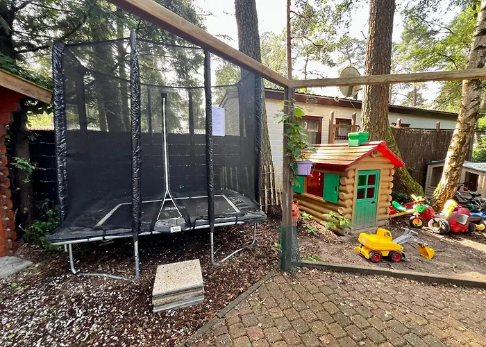 Kindvriendelijk Sfeervol Bosgeneugte Bij Zwembad Op De Veluwe Chalet Doornspijk