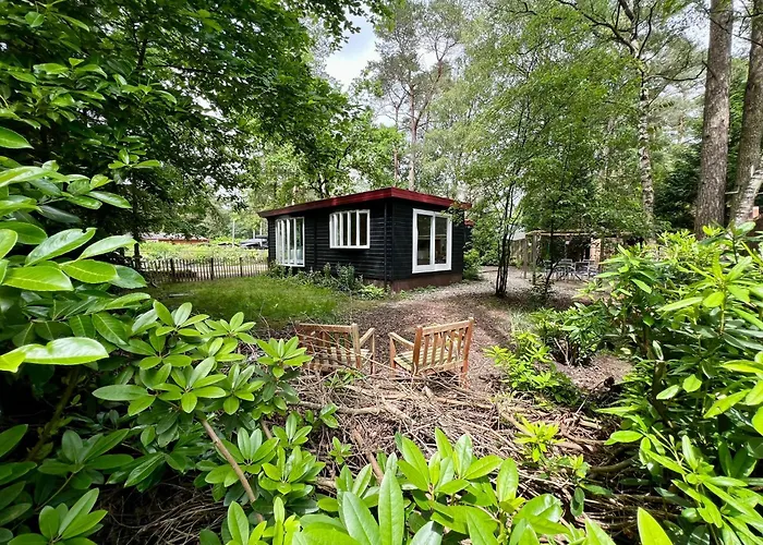 Kindvriendelijk Sfeervol Bosgeneugte Bij Zwembad Op De Veluwe شاليه *