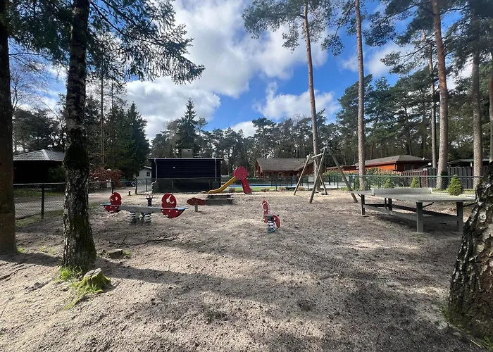 Kindvriendelijk Sfeervol Bosgeneugte Bij Zwembad Op De Veluwe Chalet Doornspijk
