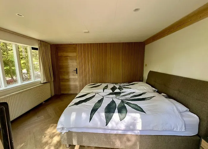 Kindvriendelijk Sfeervol Bosgeneugte Bij Zwembad Op De Veluwe Doornspijk