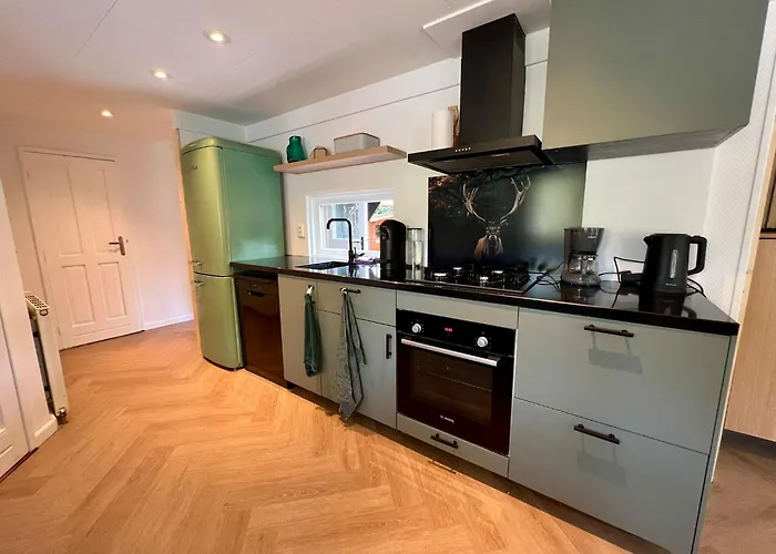 Kindvriendelijk Sfeervol Bosgeneugte Bij Zwembad Op De Veluwe *