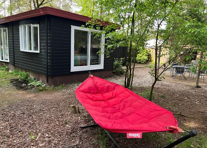 Kindvriendelijk Sfeervol Bosgeneugte Bij Zwembad Op De Veluwe