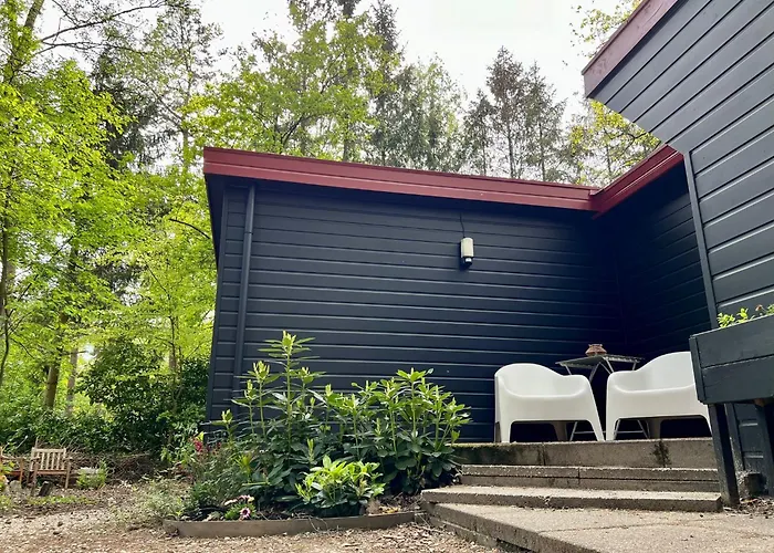 Kindvriendelijk Sfeervol Bosgeneugte Bij Zwembad Op De Veluwe *