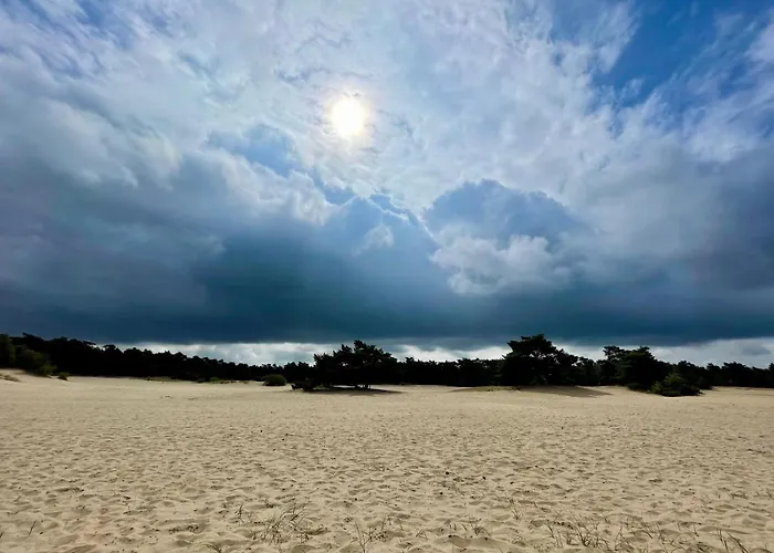 Kindvriendelijk Sfeervol Bosgeneugte Bij Zwembad Op De Veluwe شاليه