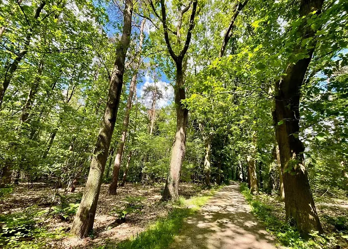 شاليه Kindvriendelijk Sfeervol Bosgeneugte Bij Zwembad Op De Veluwe Doornspijk