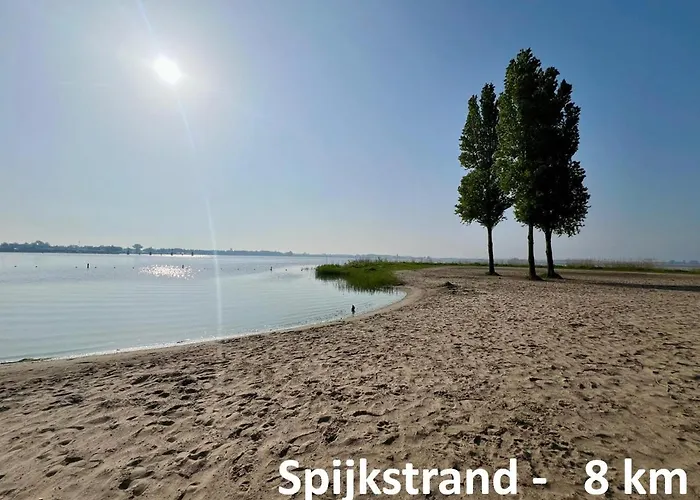 Kindvriendelijk Sfeervol Bosgeneugte Bij Zwembad Op De Veluwe Doornspijk