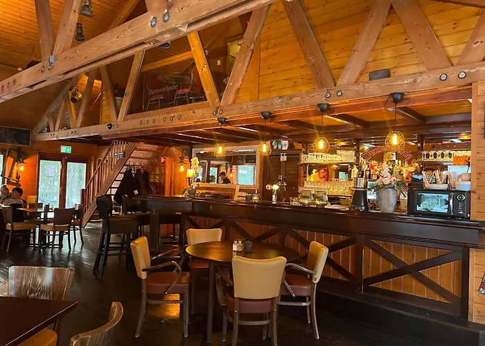 Kindvriendelijk Sfeervol Bosgeneugte Bij Zwembad Op De Veluwe * Doornspijk