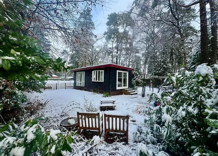 Kindvriendelijk Sfeervol Bosgeneugte Bij Zwembad Op De Veluwe Doornspijk