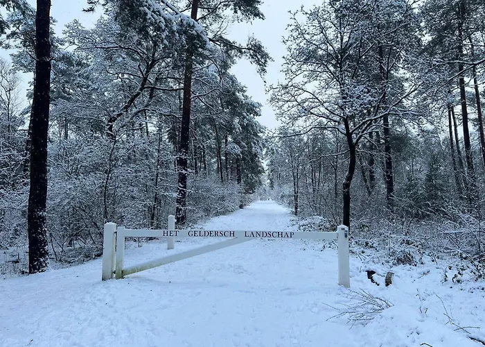 Chalet Kindvriendelijk Sfeervol Bosgeneugte Bij Zwembad Op De Veluwe *