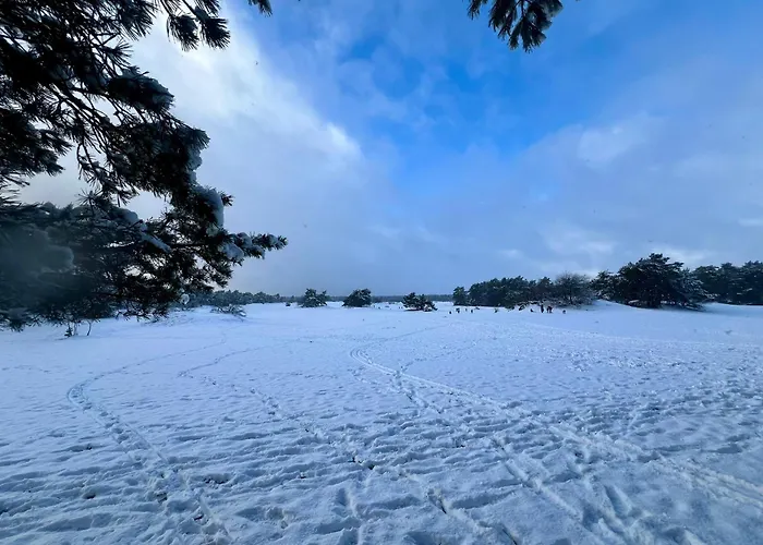 Kindvriendelijk Sfeervol Bosgeneugte Bij Zwembad Op De Veluwe * Doornspijk