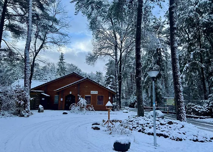 Kindvriendelijk Sfeervol Bosgeneugte Bij Zwembad Op De Veluwe Chalet