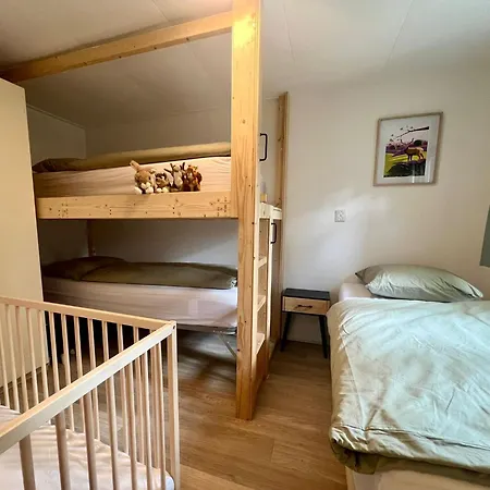 Chalé Kindvriendelijk Sfeervol Bosgeneugte Bij Zwembad Op De Veluwe