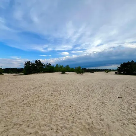 Kindvriendelijk Sfeervol Bosgeneugte Bij Zwembad Op De Veluwe * Doornspijk