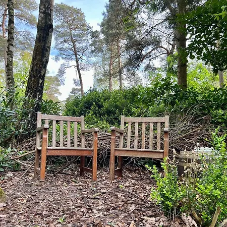 Kindvriendelijk Sfeervol Bosgeneugte Bij Zwembad Op De Veluwe * Doornspijk