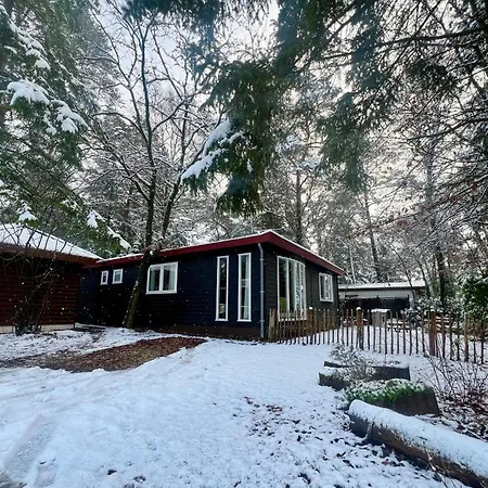Kindvriendelijk Sfeervol Bosgeneugte Bij Zwembad Op De Veluwe * Doornspijk