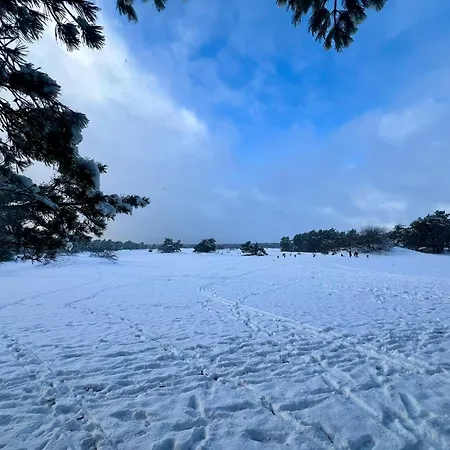 Kindvriendelijk Sfeervol Bosgeneugte Bij Zwembad Op De Veluwe * Doornspijk