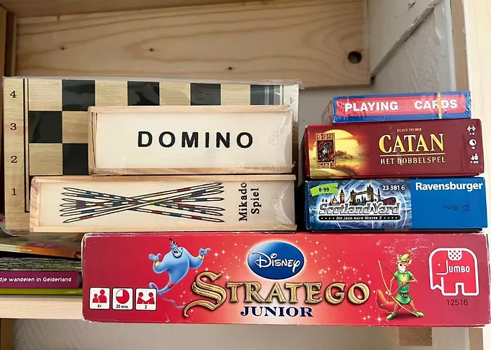 Kindvriendelijk Sfeervol Bosgeneugte Bij Zwembad Op De Veluwe