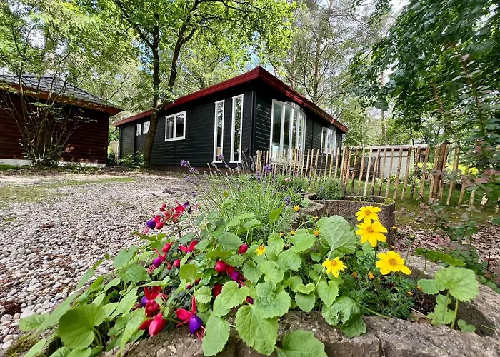 Kindvriendelijk Sfeervol Bosgeneugte Bij Zwembad Op De Veluwe Doornspijk