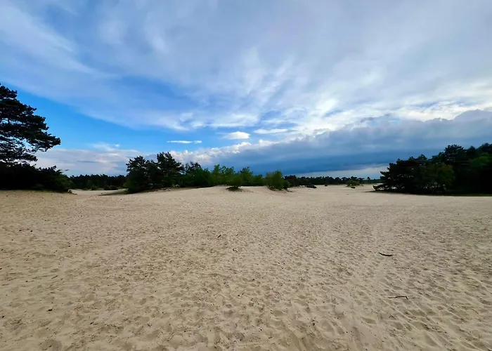 Kindvriendelijk Sfeervol Bosgeneugte Bij Zwembad Op De Veluwe * Doornspijk