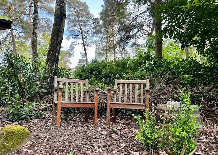 Kindvriendelijk Sfeervol Bosgeneugte Bij Zwembad Op De Veluwe * Doornspijk