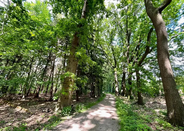 Шале Kindvriendelijk Sfeervol Bosgeneugte Bij Zwembad Op De Veluwe *