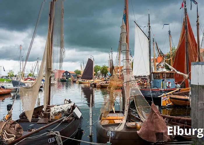 Шале Kindvriendelijk Sfeervol Bosgeneugte Bij Zwembad Op De Veluwe Doornspijk