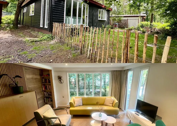 Kindvriendelijk Sfeervol Bosgeneugte Bij Zwembad Op De Veluwe * Doornspijk