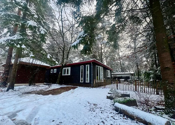 Kindvriendelijk Sfeervol Bosgeneugte Bij Zwembad Op De Veluwe * Doornspijk