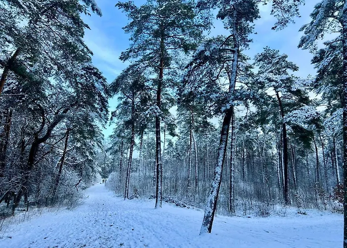 Шале Kindvriendelijk Sfeervol Bosgeneugte Bij Zwembad Op De Veluwe